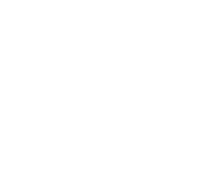 Aviatrix