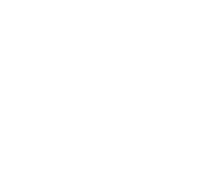 A10
