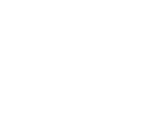 Model N