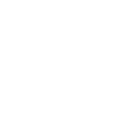 Ping Identity