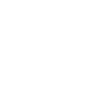 Payoneer
